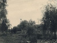 Botanički vrt, Mihanovićeva ulica, oko 1905.-1910. godine